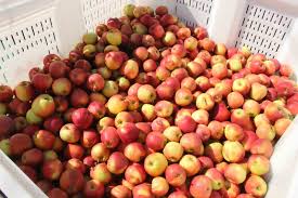 Karaman Tarim Rehberi Hasat Takvimi Ve Urun Bilgileri (1)