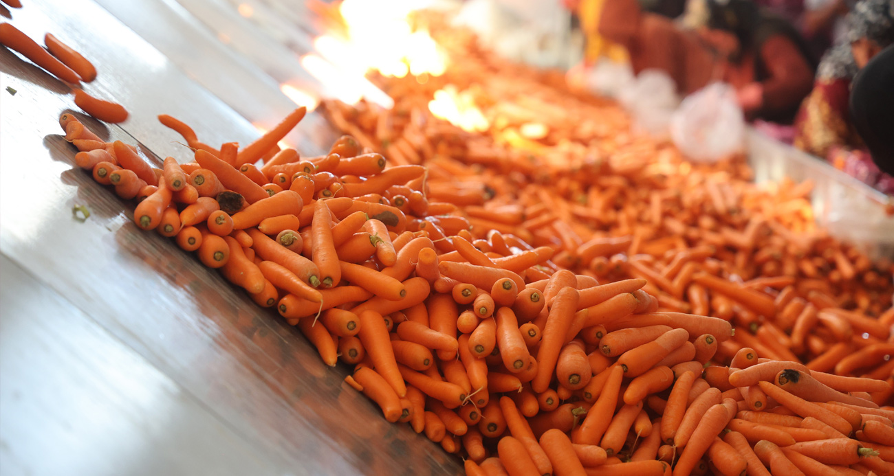 Karaman Tarim Rehberi Hasat Takvimi Ve Urun Bilgileri (2)