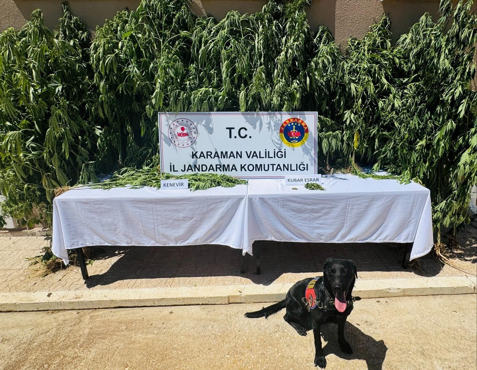 Karamanda Uyusturucu Ve Tarihi Eser Fosil Operasyonu4