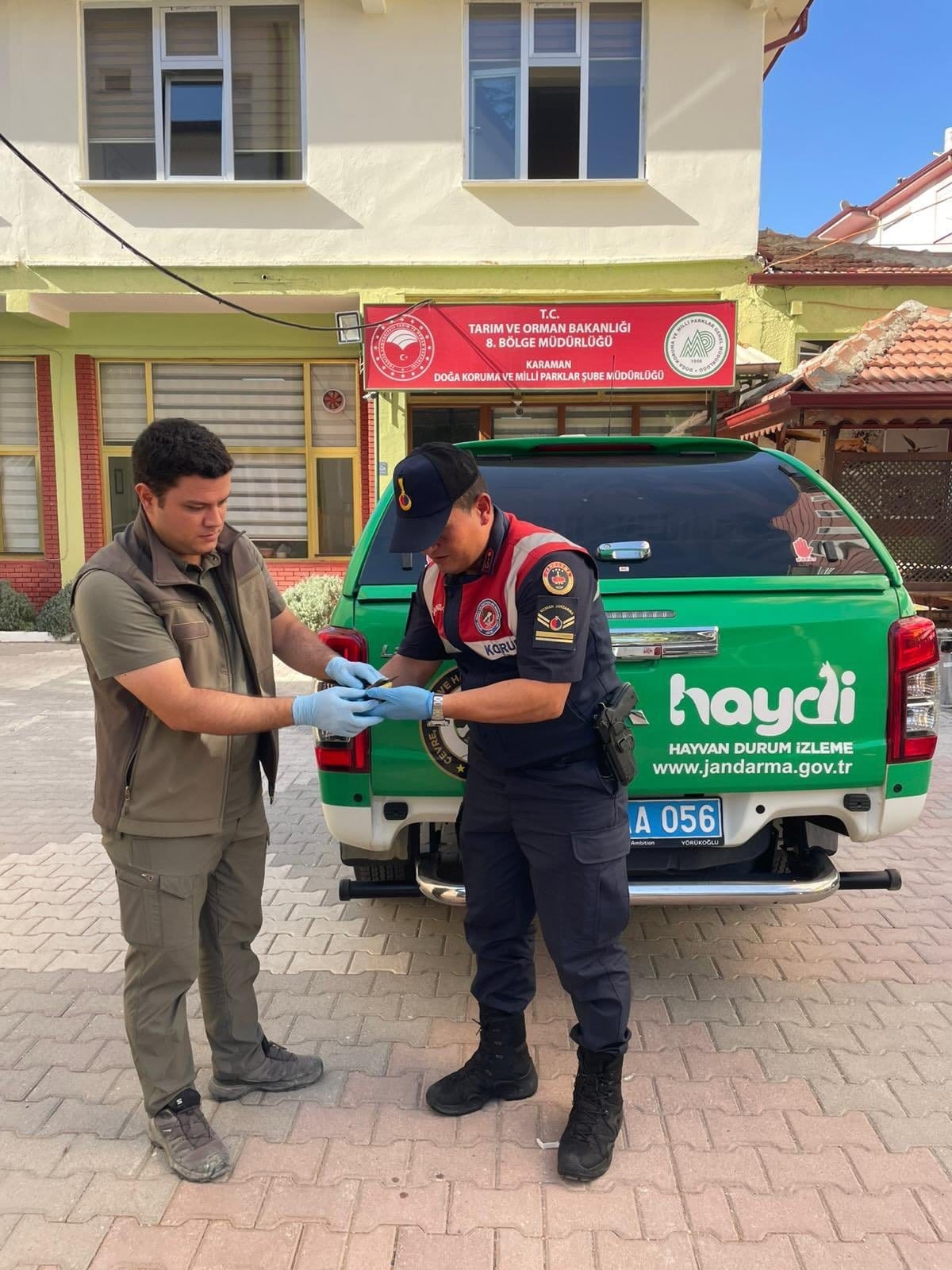 Karamanda Yarali Ari Kusu Koruma Altina Alindi1