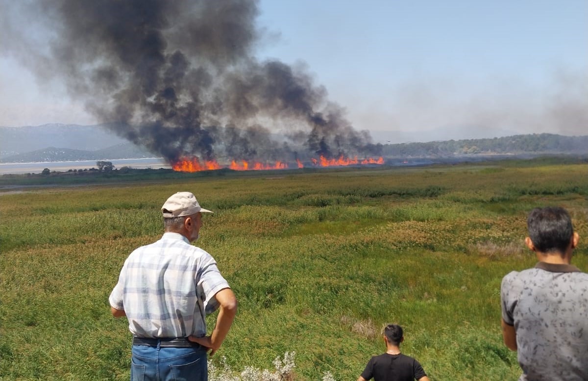 Sazlik Alanda Cikan Yangin Havadan Mudahale Ile Sonduruldu (1)