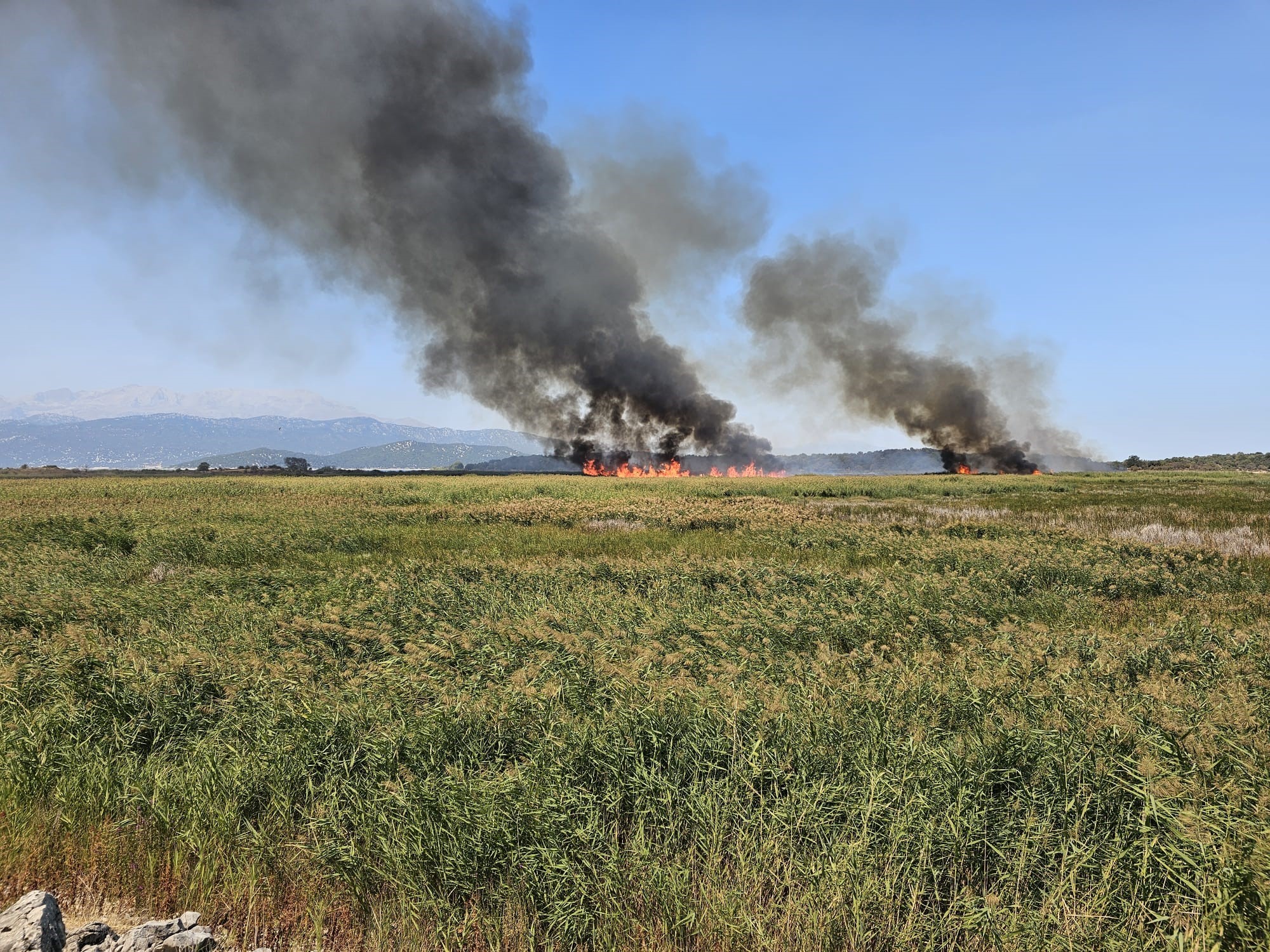 Sazlik Alanda Cikan Yangin Havadan Mudahale Ile Sonduruldu (2)