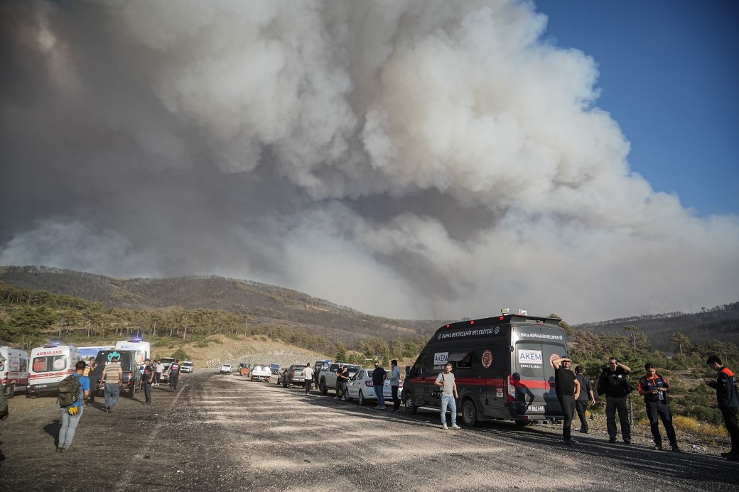 Yanan 3 Bin Hektar Ormanin Yeniden Olusmasi 100 Yil Alacak3