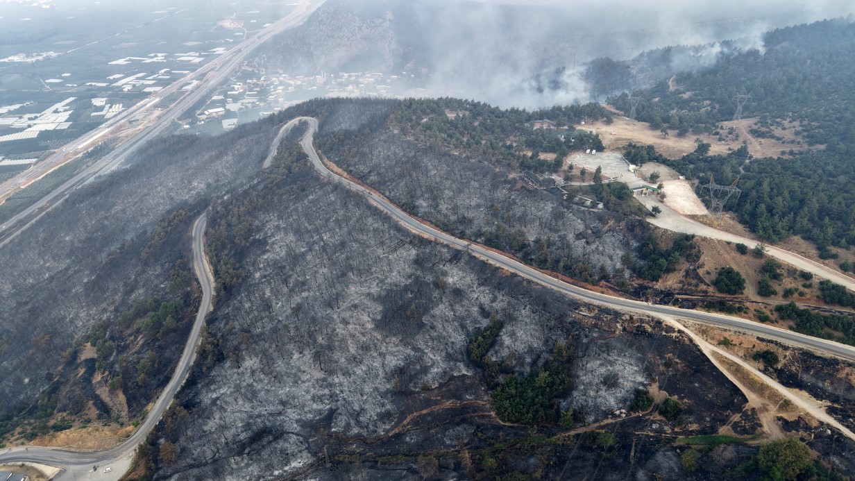Yanan 3 Bin Hektar Ormanin Yeniden Olusmasi 100 Yil Alacak5