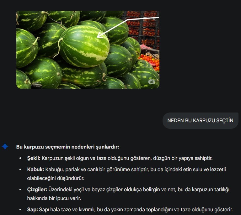 Yapay Zeka Pazara Indi Karpuz Secmeye Basladi (1)