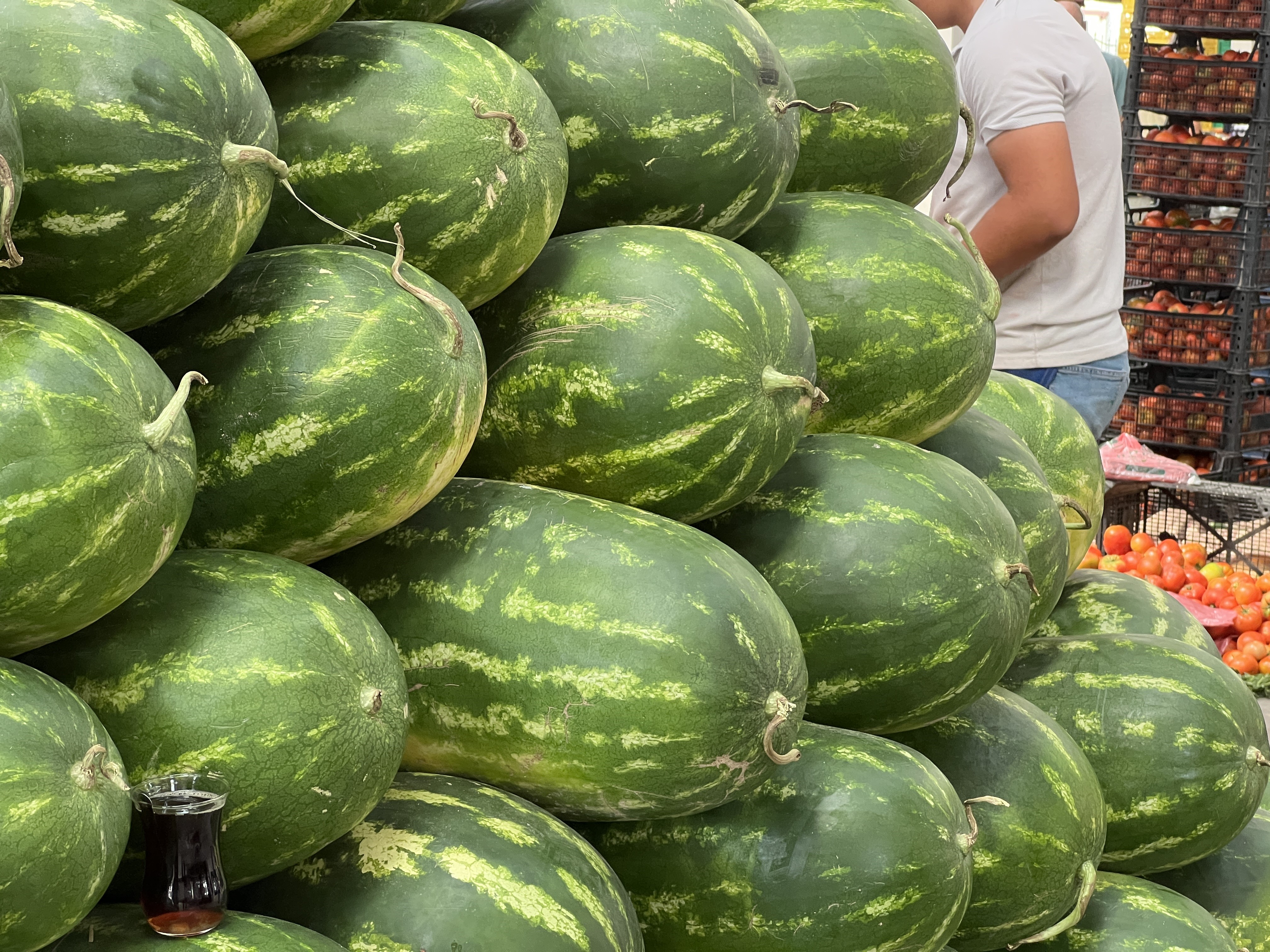 Yapay Zeka Pazara Indi Karpuz Secmeye Basladi (5)