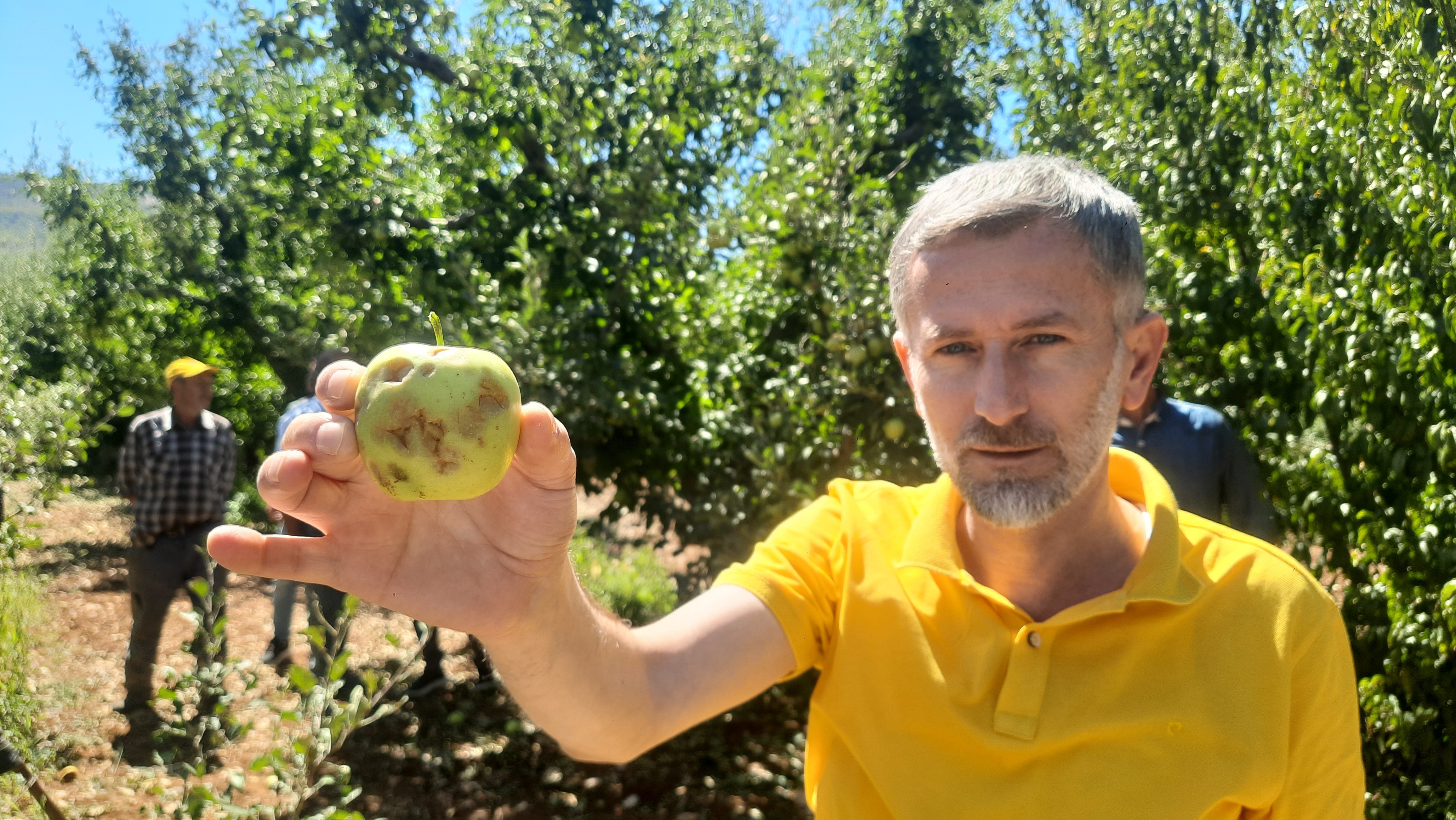 Dolu Etkili Oldu Bahcelerde Buyuk Zarar (1)