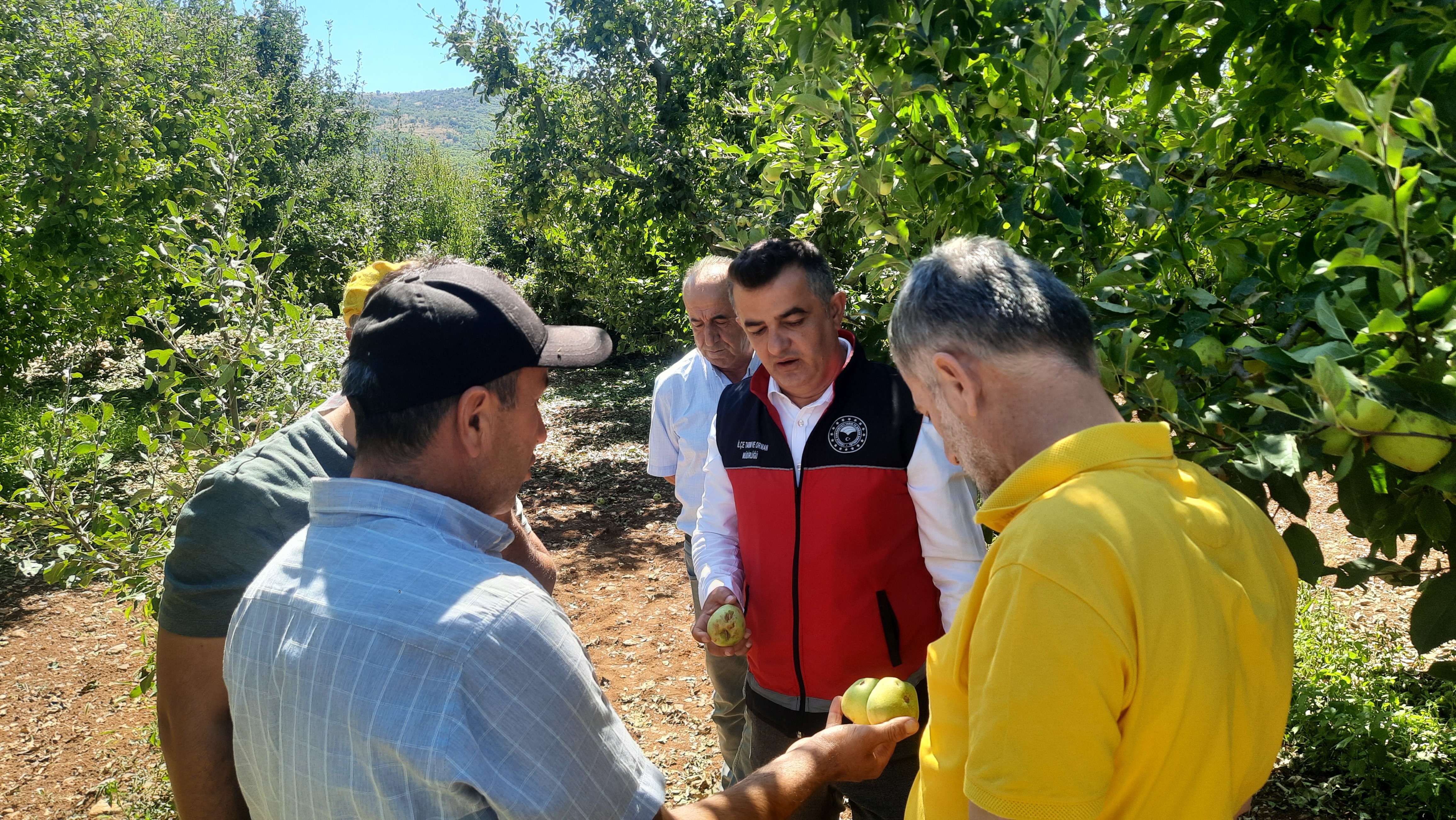 Dolu Etkili Oldu Bahcelerde Buyuk Zarar (3)