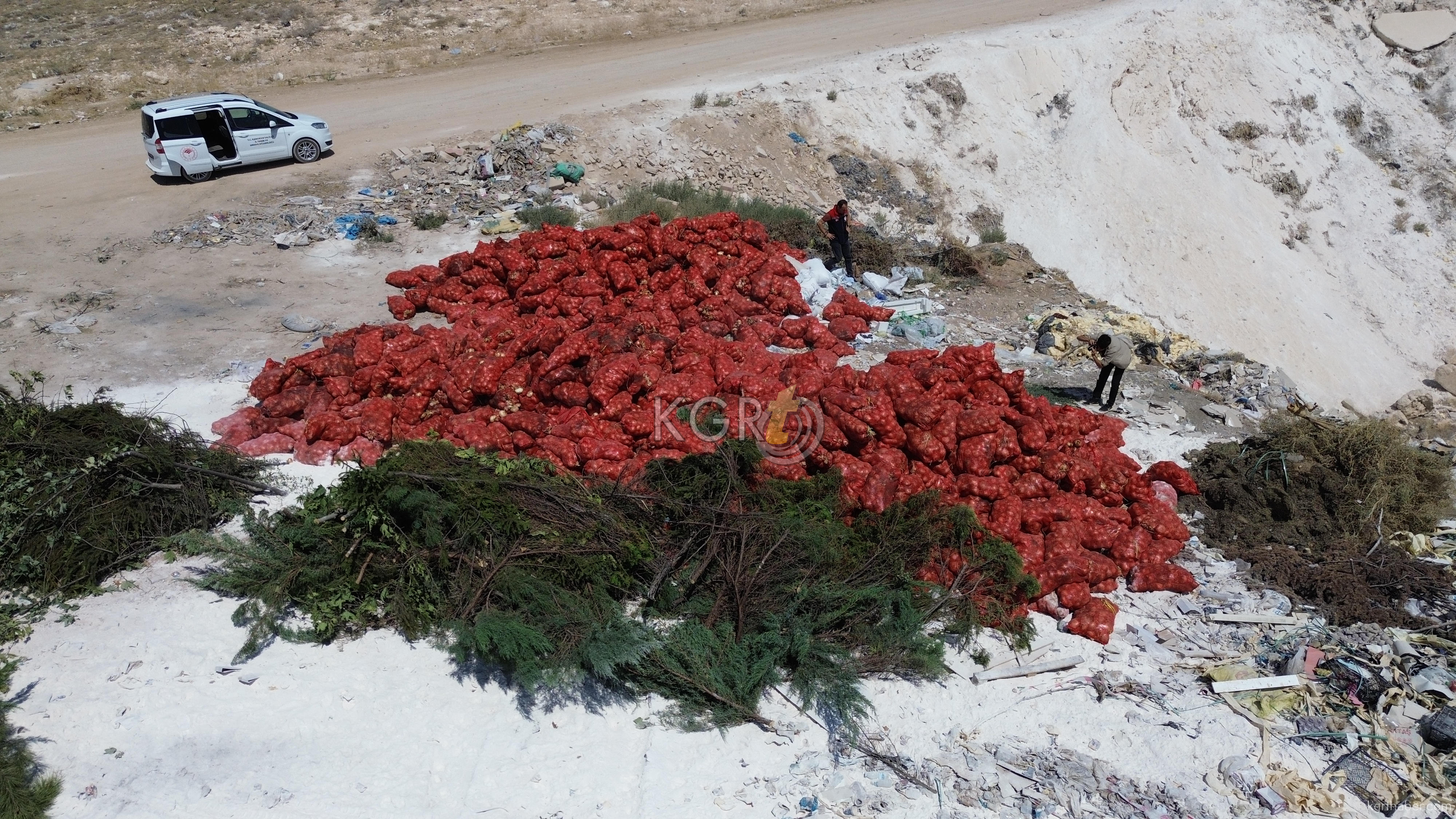 Karamanda Bos Araziye Tonlarca Sogan Doktuler15