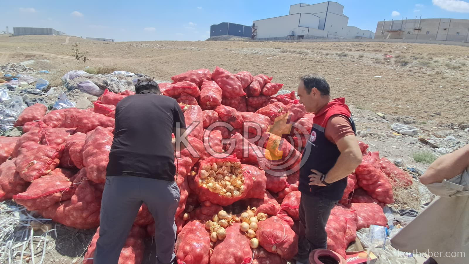 Karamanda Bos Araziye Tonlarca Sogan Doktuler4