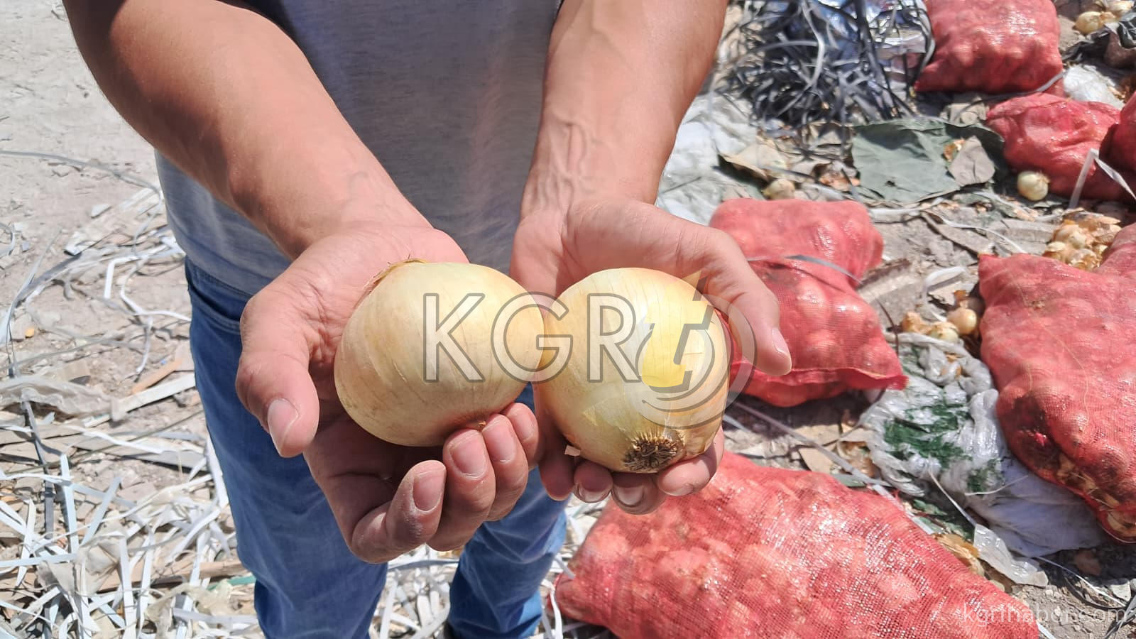 Karamanda Bos Araziye Tonlarca Sogan Doktuler6