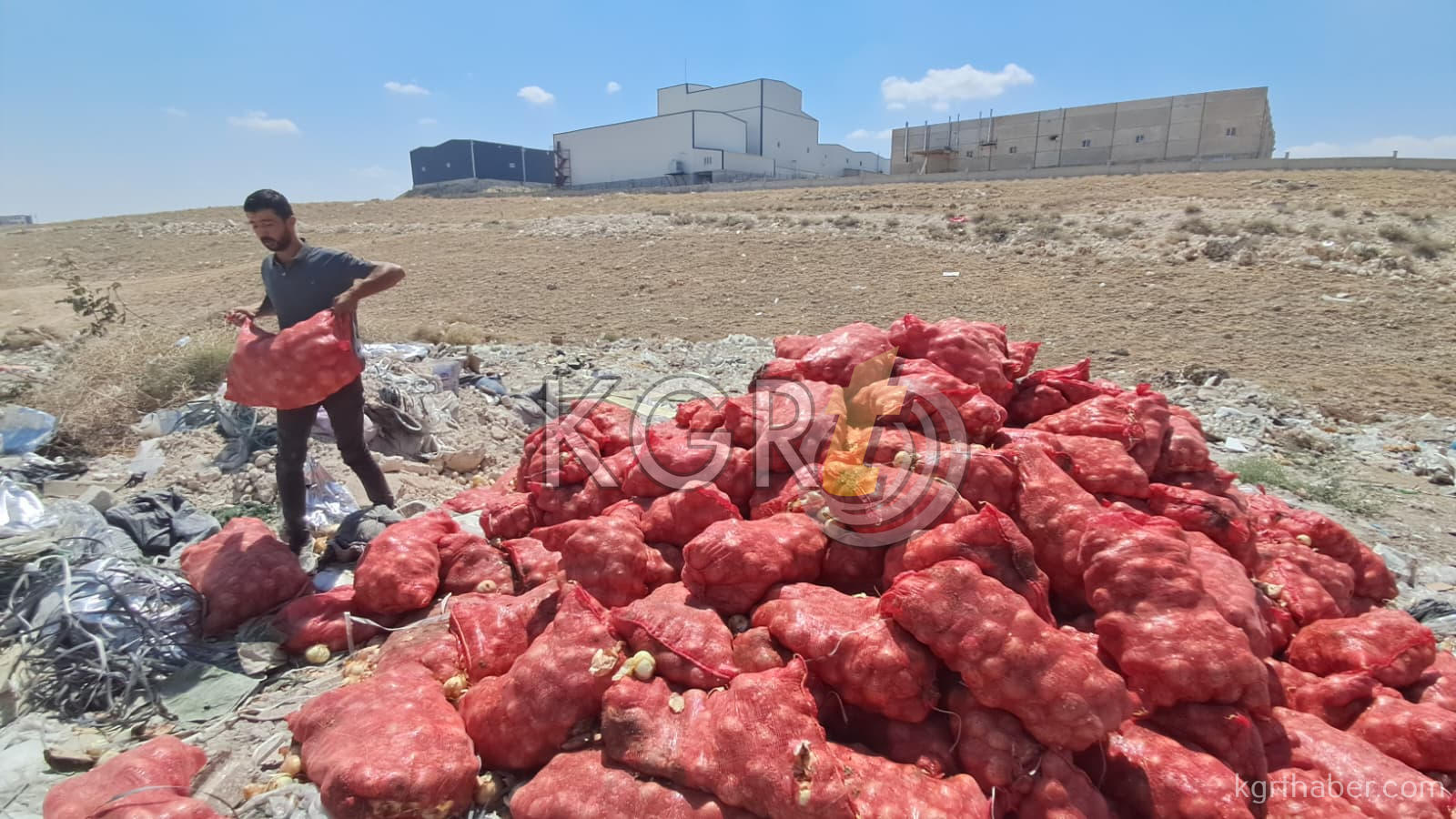 Karamanda Bos Araziye Tonlarca Sogan Doktuler7