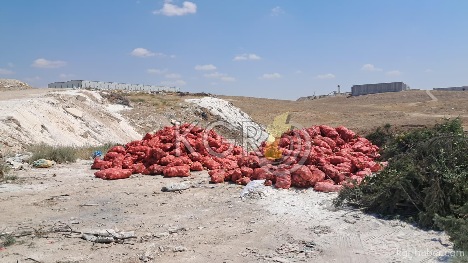 Karamanda Bos Araziye Tonlarca Sogan Doktuler8