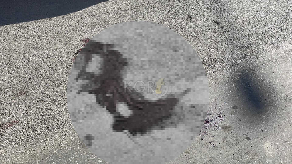 Karamanda Motosiklet Yasli Adama Carpti 1I Agir 2 Yarali5