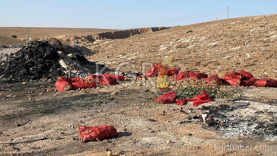 Karamanda Tonlarca Sogani Yine Bos Araziye Doktuler Vatandas Topladi11