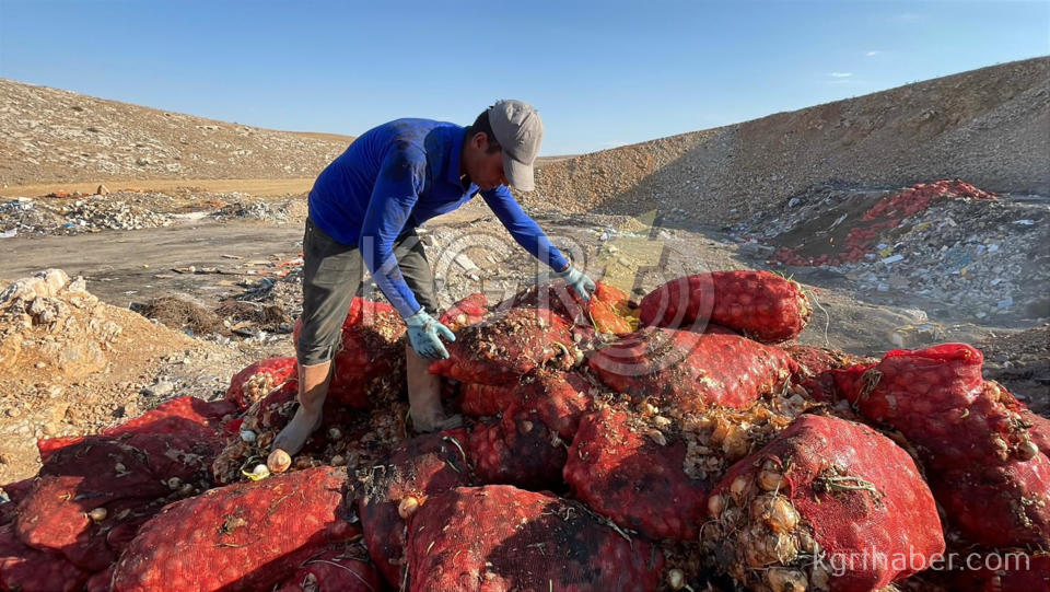 Karamanda Tonlarca Sogani Yine Bos Araziye Doktuler Vatandas Topladi12