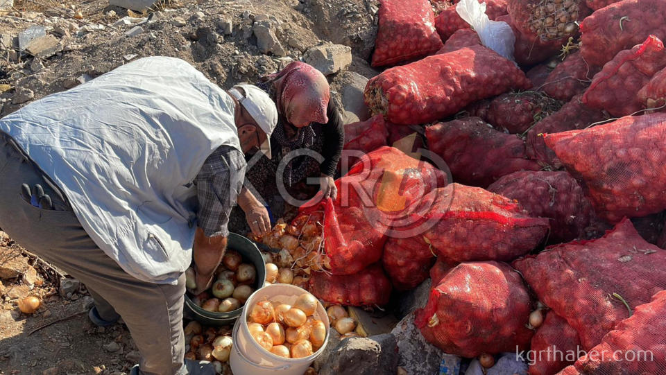 Karamanda Tonlarca Sogani Yine Bos Araziye Doktuler Vatandas Topladi4
