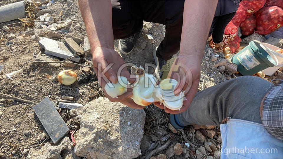 Karamanda Tonlarca Sogani Yine Bos Araziye Doktuler Vatandas Topladi9