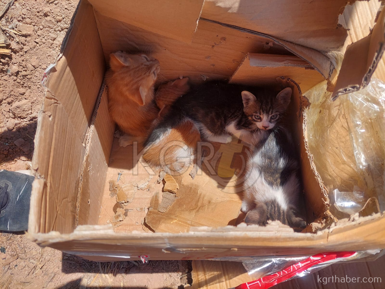 Karamanda Transit Tarlaya Takla Atti 1 Yarali5