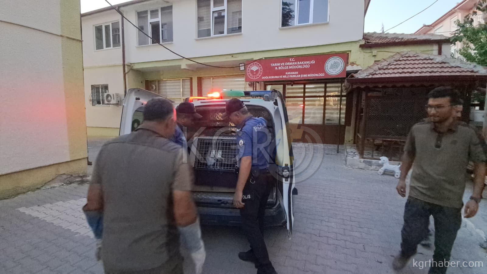 Karamanda Yarali Leylegin Imdadina Haydi Ekibi Yetisti5