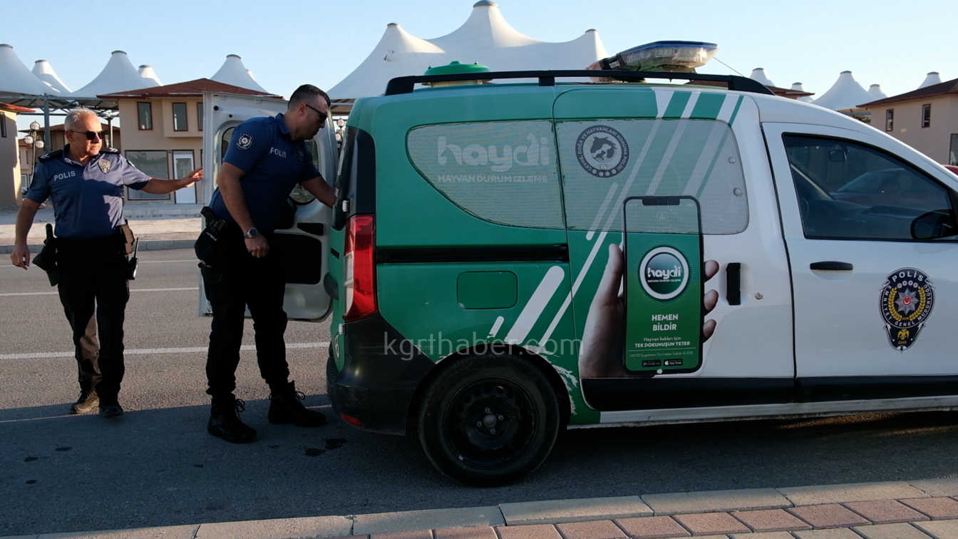 Karamanda Yarali Leylek Koruma Altina Alindi1