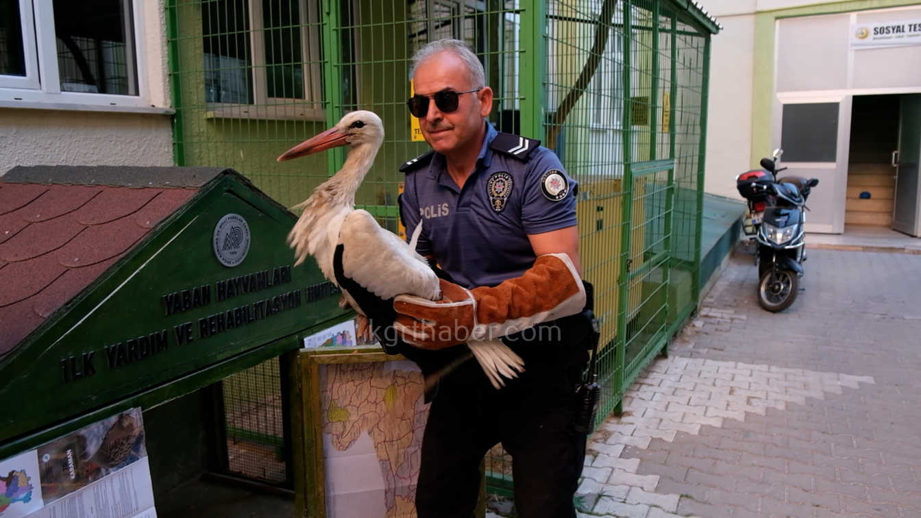 Karamanda Yarali Leylek Koruma Altina Alindi4