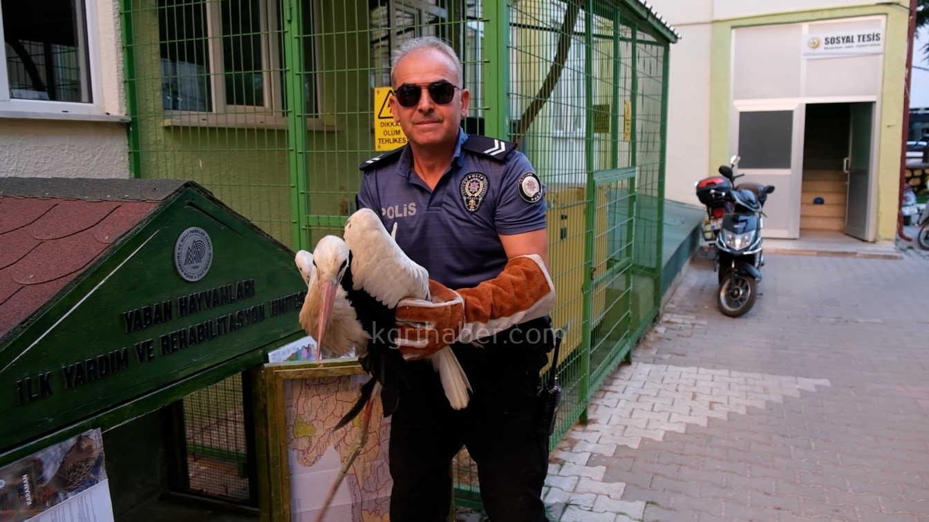 Karamanda Yarali Leylek Koruma Altina Alindi5
