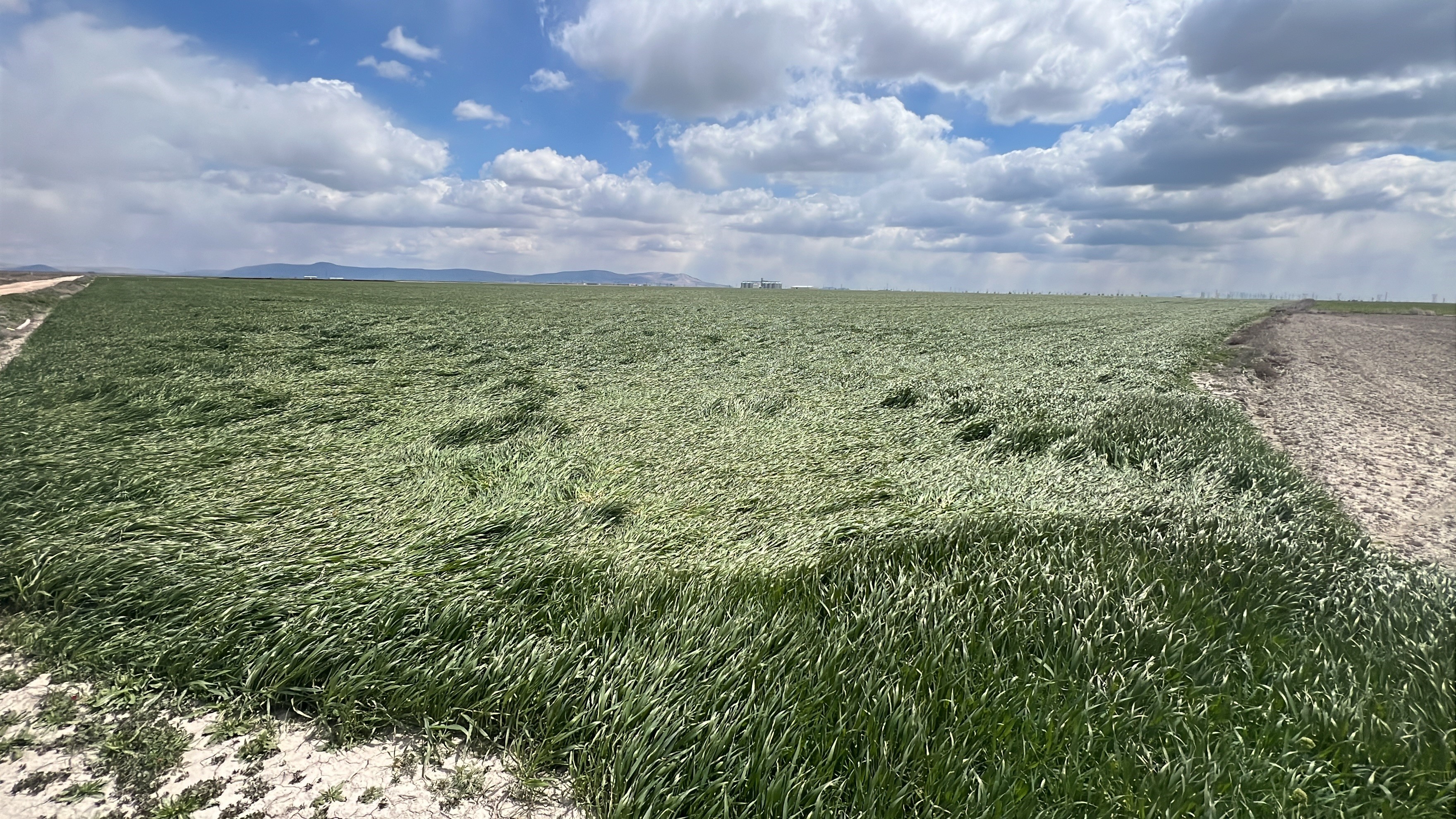 Kiralik Tarla Uygulamasinda Dolandiricilik Uyarisi (1)