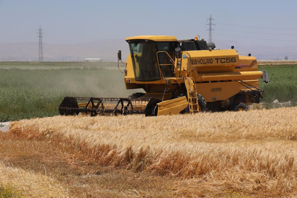 Sahi Kuzum Ne Yapiyoruz Biz2