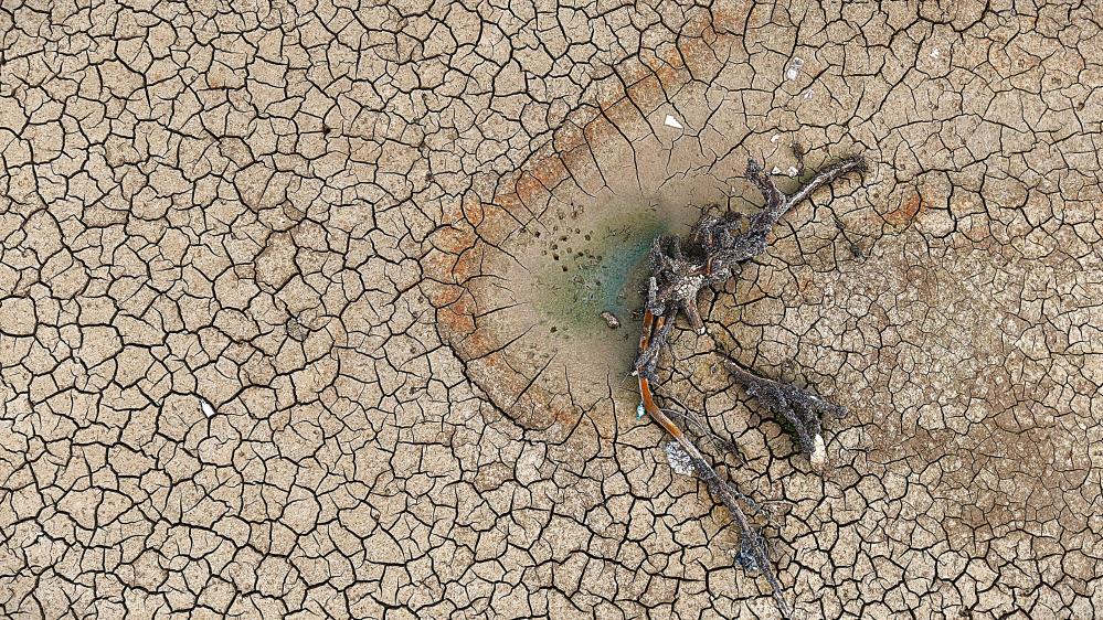 Bursa Tariminin Kalbi Durdu1