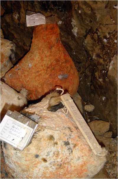 Divle Obruk Peynirinin Ozellikleri Nelerdir (1)