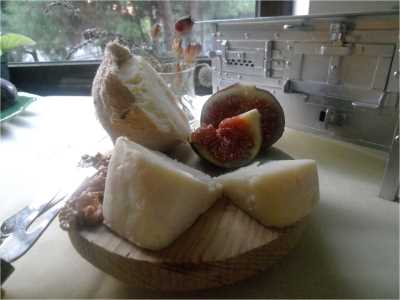 Divle Obruk Peynirinin Ozellikleri Nelerdir (2)