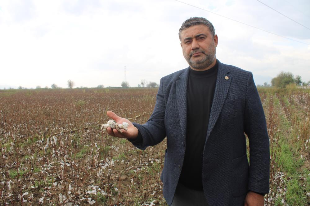 Dolu Bu Sefer Pamuk Tarlasini Vurdu2