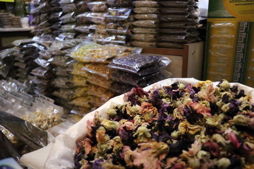 Havalarin Sogumasiyla Aktarlarda Yogunluk Yasaniyor1