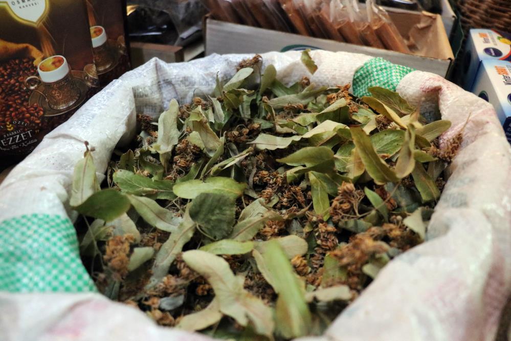 Havalarin Sogumasiyla Aktarlarda Yogunluk Yasaniyor2