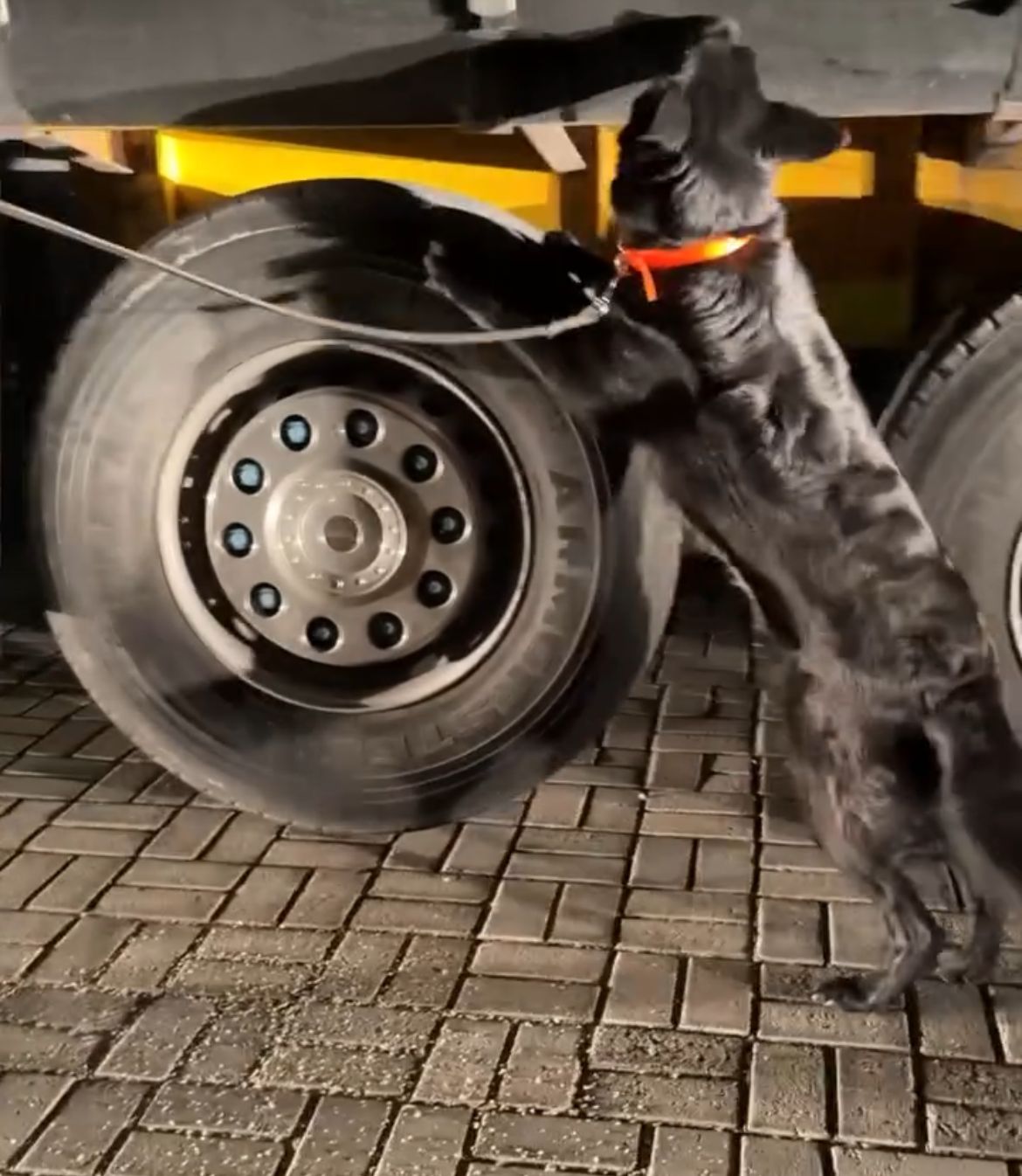 Karamanda 71 Milyon Liralik Extacy Uyusturucu Ele Gecirildi (7)