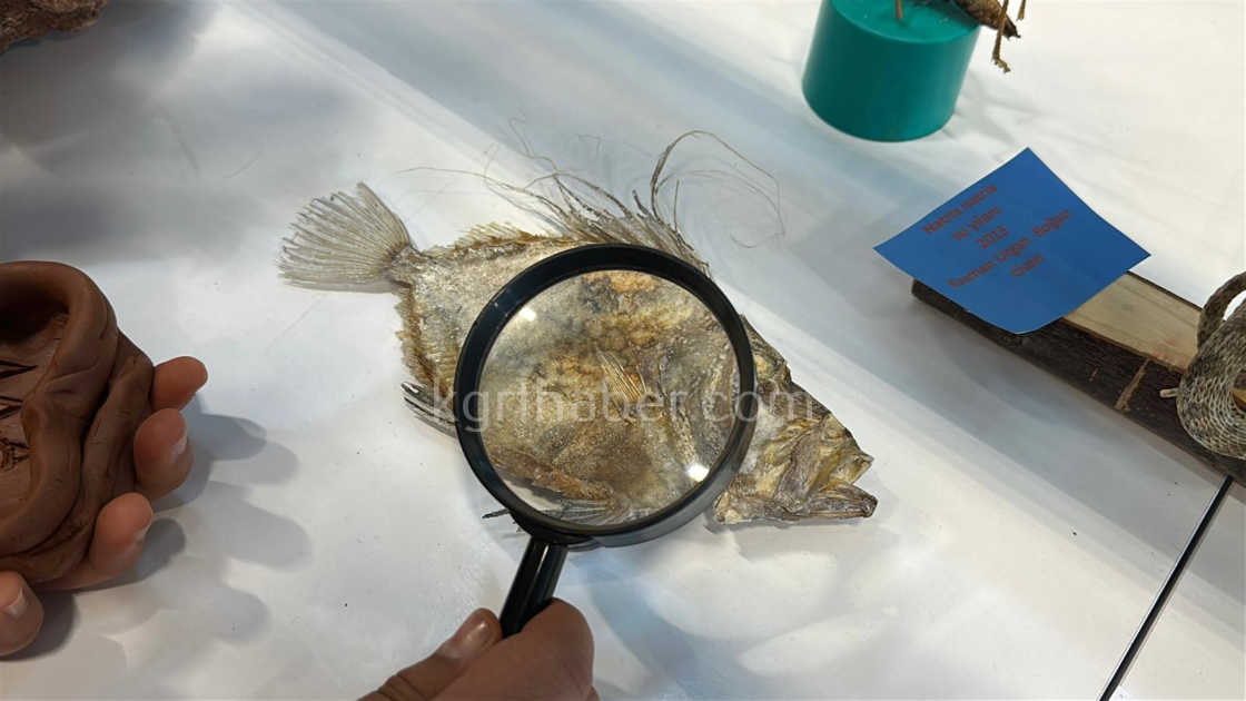 Karamanda Ailece Topladigi 5 Bine Yakin Fosille Muze Kurdu12