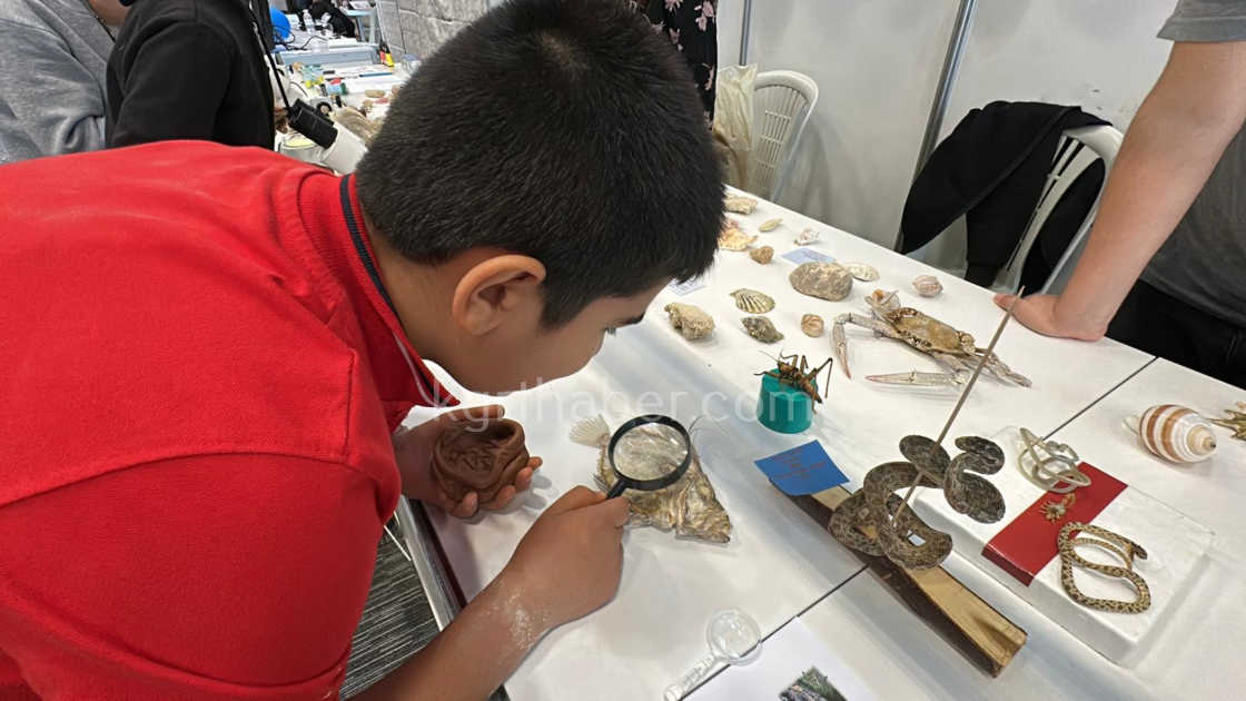 Karamanda Ailece Topladigi 5 Bine Yakin Fosille Muze Kurdu5