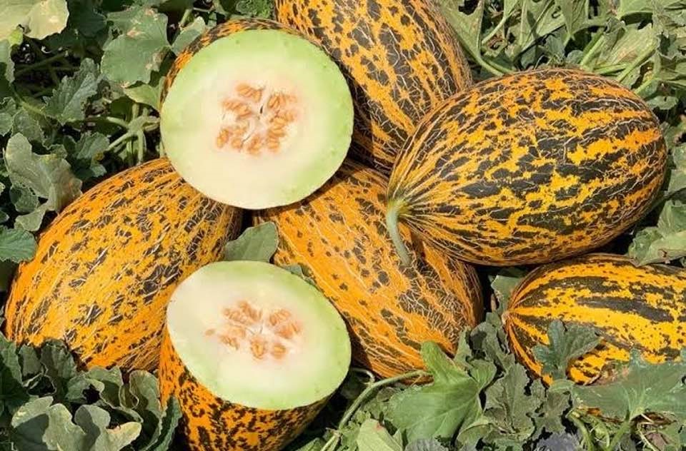 Karamandan Neler Alinir (3)