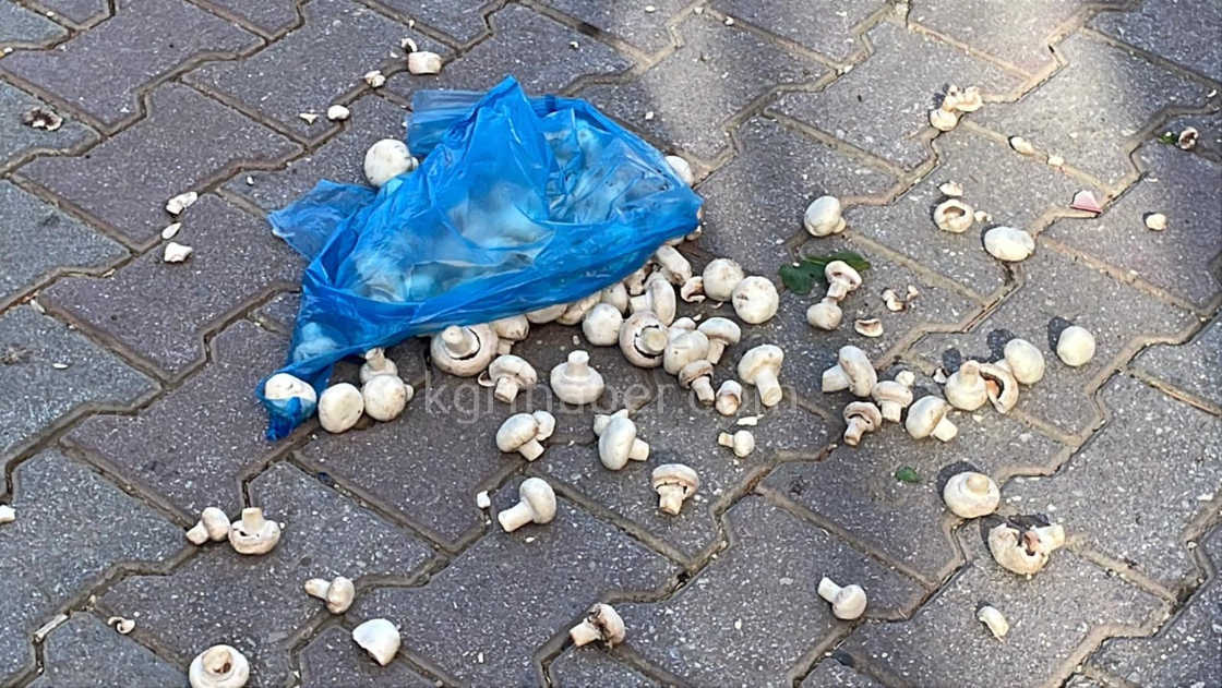 Motosikletlinin Yaralandigi Kazada Alisveris Posetindekiler Yola Sacildi9