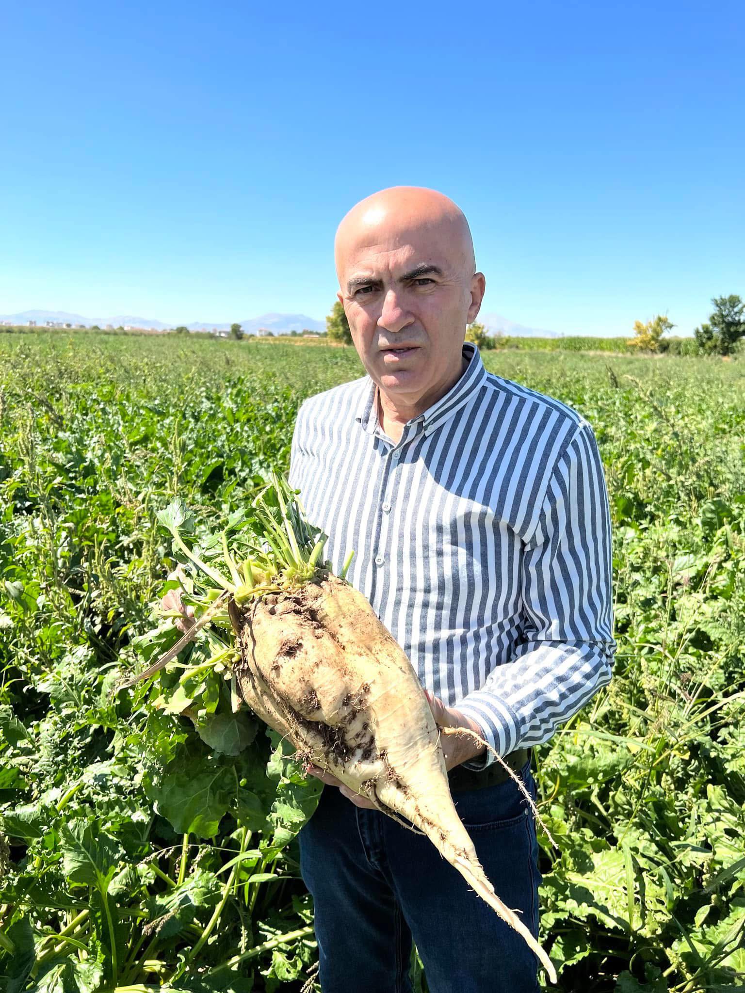 Seker Pancari Yuz Guldurmedi1