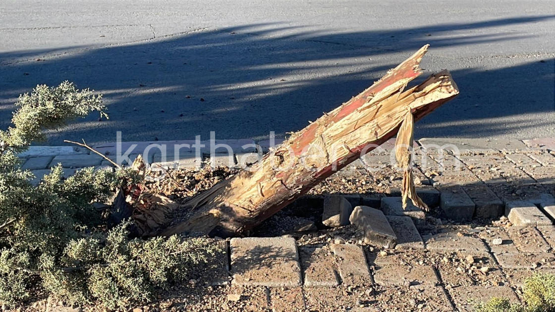 Tofas Surucusu Feci Kazada Olumden Dondu5