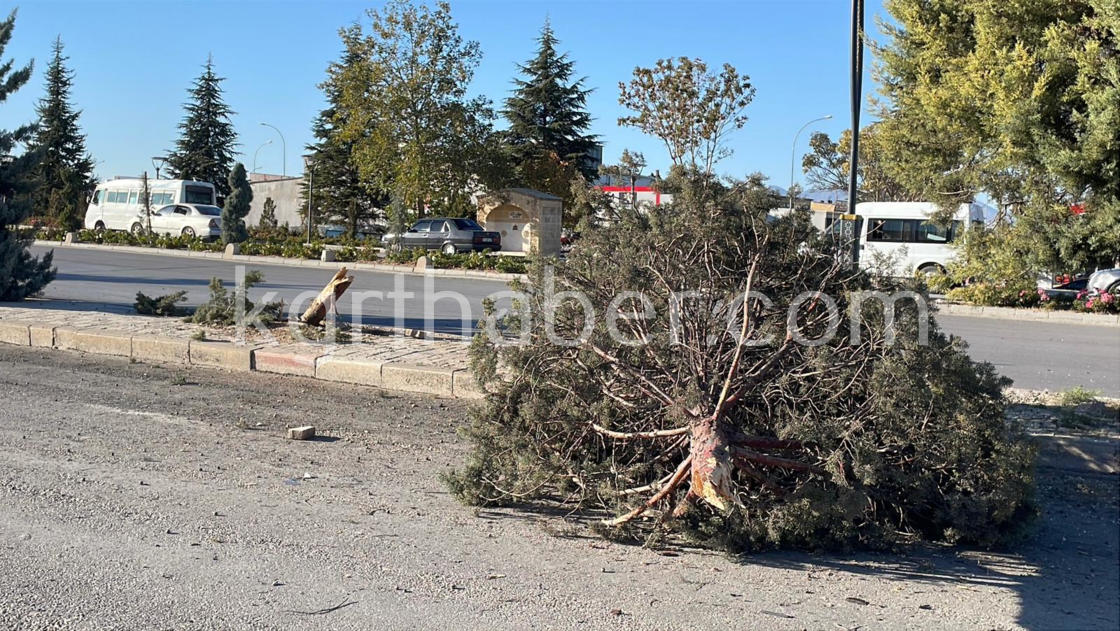 Tofas Surucusu Feci Kazada Olumden Dondu9