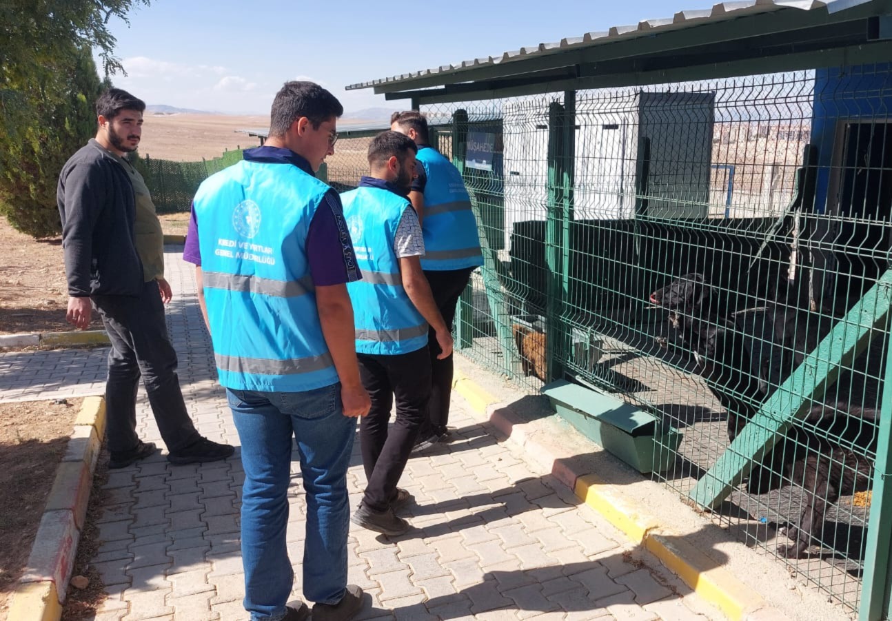 Universitelilerden Patikoye Ziyaret2