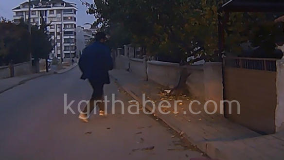 Yarali Bildircini Kedinin Agzindan Kurtardi O Anlar Kamerada4