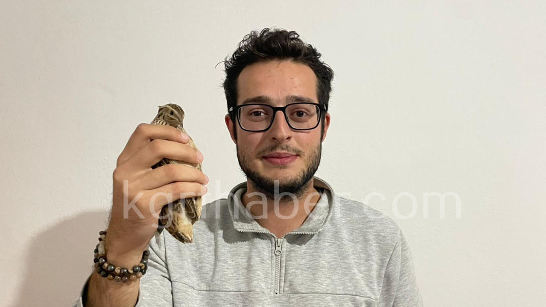 Yarali Bildircini Kedinin Agzindan Kurtardi O Anlar Kamerada6