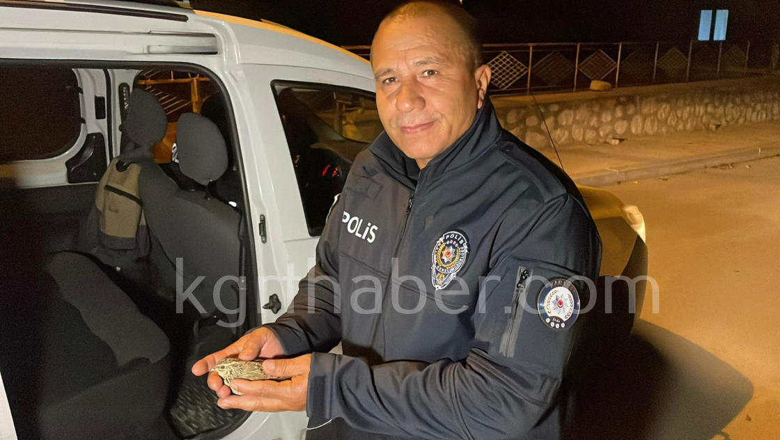 Yarali Bildircini Kedinin Agzindan Kurtardi O Anlar Kamerada7