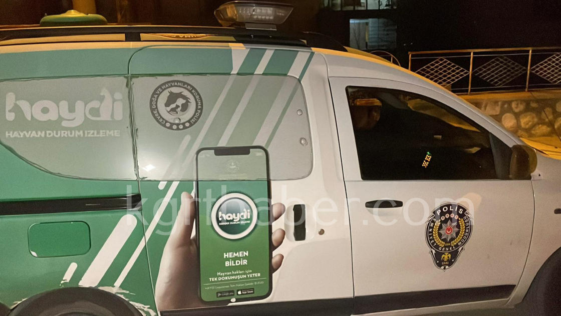 Yarali Bildircini Kedinin Agzindan Kurtardi O Anlar Kamerada8