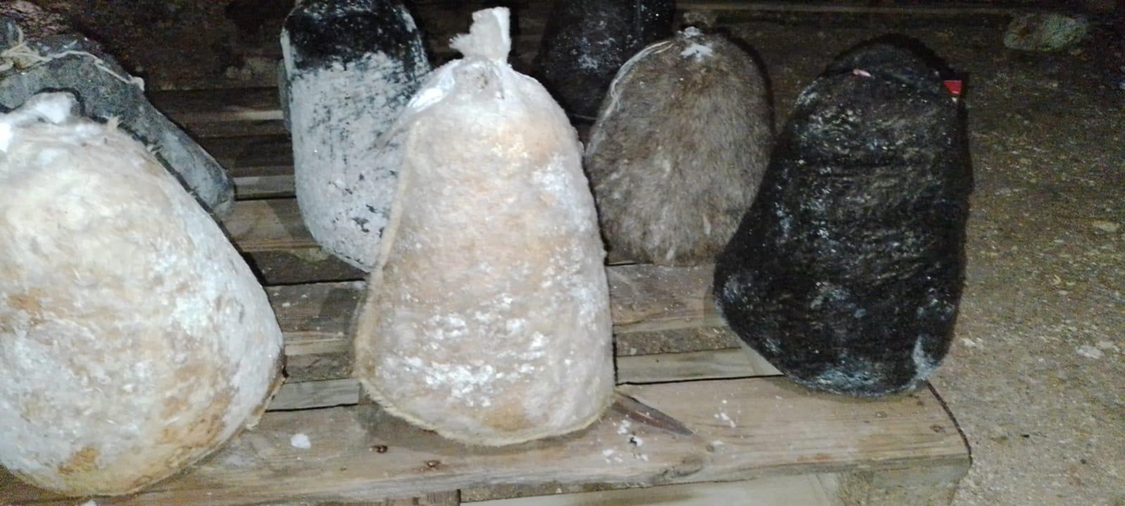 Gokce Koyunde Geleneksel Obruk Peyniri Sezonu Acildi (3)