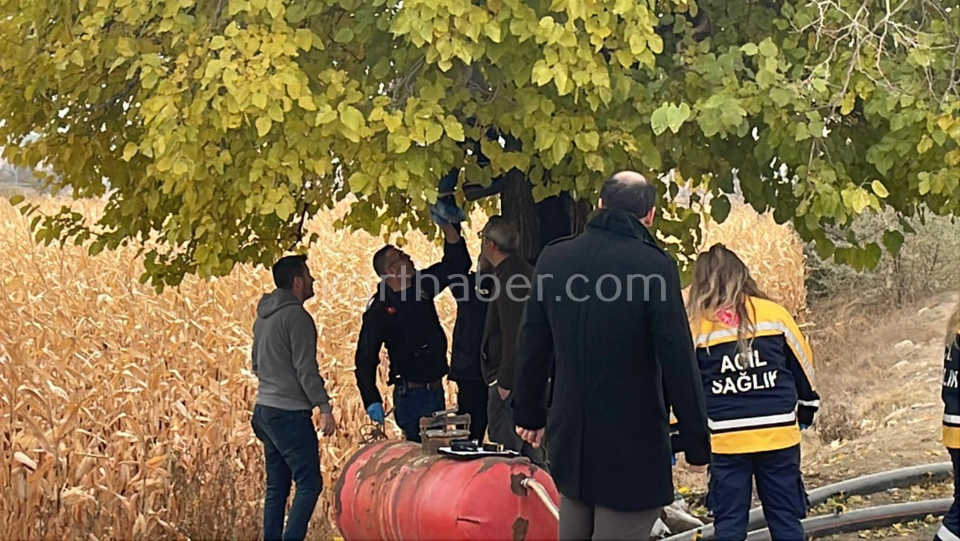 Karaman’da 27 Yaşındaki Genç Tarlada Ölü Bulundu (2)